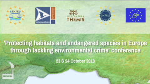 Conference 2018